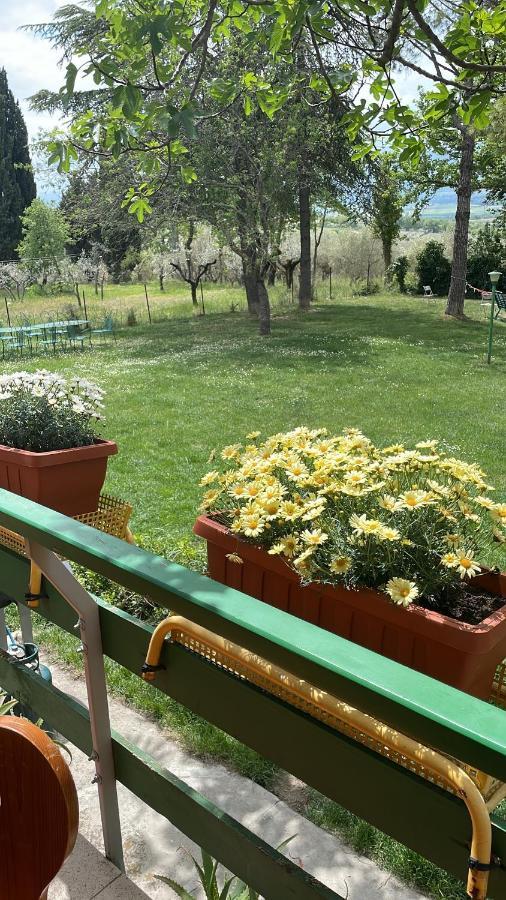 B&B Margherita Montefalco Ngoại thất bức ảnh